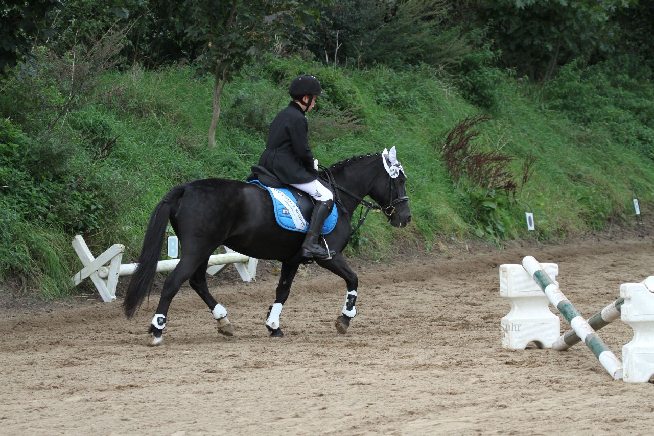 Bild 1295 - WBO-Turnier am 18.9.11